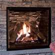 Shop Enviro Q4 Fireplace