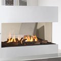 Shop Element 4 Lucius 100 Fireplace