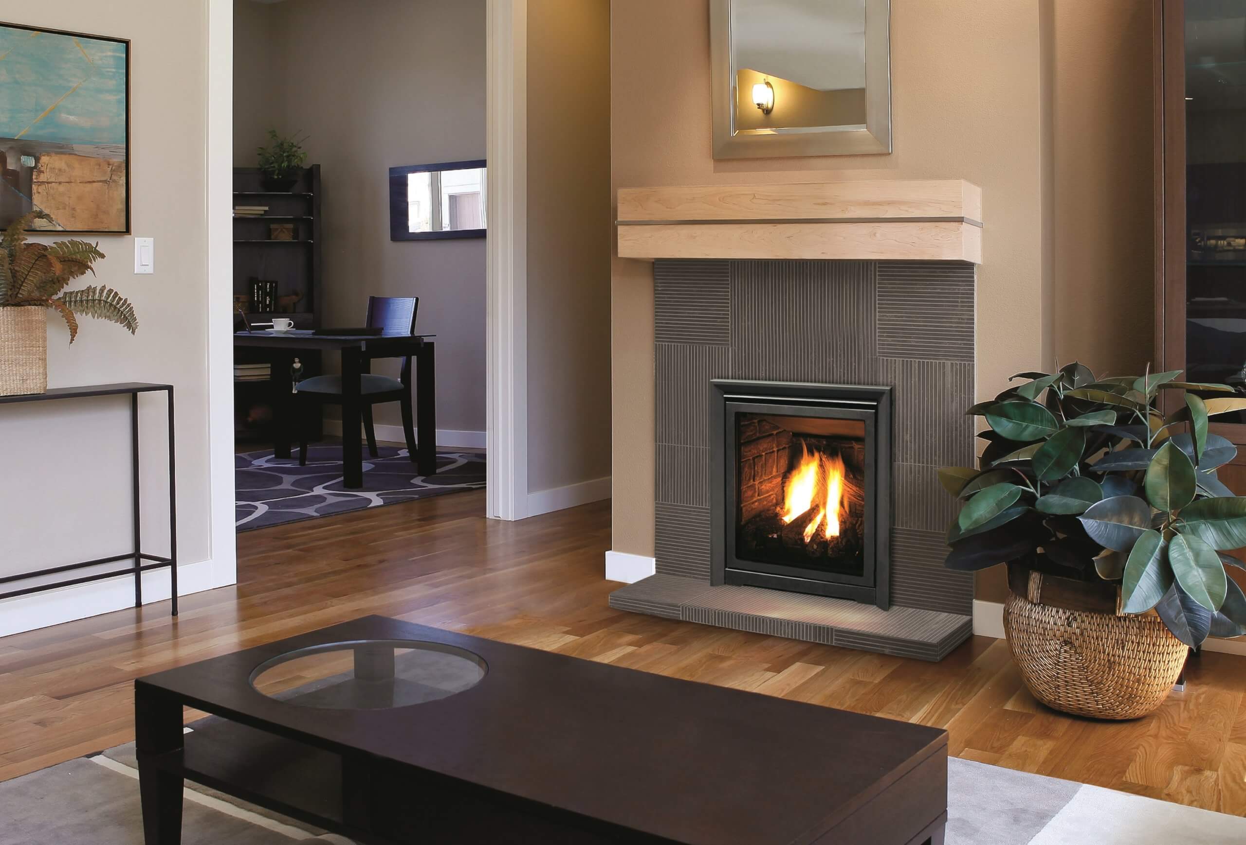 Small Q1 Gas fireplace insert by Enviro next to indoor plant in modern living room